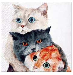 PAW Better Together Papírszalvéta 33X33cm, 20db-os