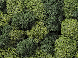 Noch Izlandi moszat, dekormoha 75g (08621) (08621) - jatekmakettcentrum