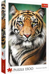 Trefl Puzzle 1500 db-os Tigris (26204) (26204)