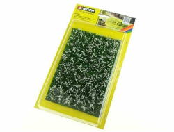 Noch Talajtakaró lombozat: réti fehér (07256) (07256)