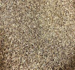 Paleolit Római köménymag egész 1kg Cumin whole - foodker