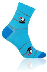 MORE Sosete dama, model Toucan - More S078014 turcoaz (Culoare: Turcoaz, Marime: 35-38) (14276)