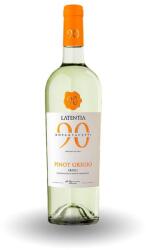  90 Novantaceppi Pinot Grigio DOC (0, 75L) - drinkmix