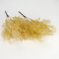  Szárazvirág hatású aszparágusz csokor natúr 2db/csomag