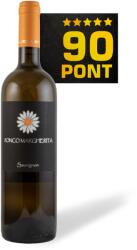 Ronco Margherita Sauvignon Blanc 2024 - Ronco Margherita - 90 pont ***** (Olaszország) (0, 75l)