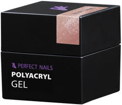 Perfect Nails Perfect PolyAcryl Gel - Polygel Rose Glitter 15g (PNZ4131)