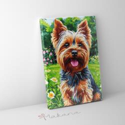 Makana Yorki - Számfestő készlet, kerettel (40x50 cm)