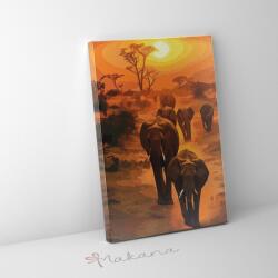 Makana Szafari hangulat - Számfestő készlet, kerettel (30x40 cm)