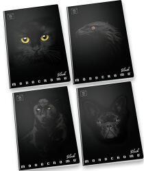 Pigna Füzet Pigna Monocromo Black A/4 38 lapos vonalas (02303371R)