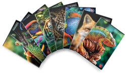 Pigna Füzet Pigna Animal A/4 tűzött 42 lapos kockás (02333715M) - argentumshop