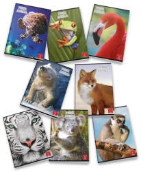 Pigna Füzet Pigna Animal A/5 tűzött 42 lapos kockás (02309805M) - argentumshop