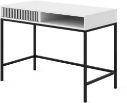 BIM Тоалетка Ravenna F 1S боядисан фрезован MDF, бял мат/черно (RAVENNADESKWMBMBF)