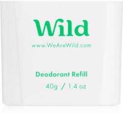 WILD Mint & Aloe Vera deo stick 40 g