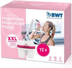 BWT Magnesium Mineralized Water 12db (814530-A)