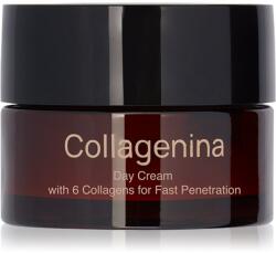 Collagenina Grade 1 Day Cream feszesítő nappali krém kollagénnel 50 ml