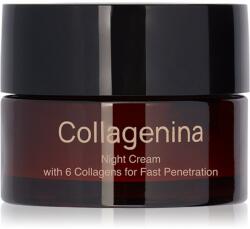 Collagenina Grade 2 Night Cream ráncfeltöltő éjszakai krém kollagénnel 50 ml
