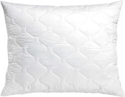 Kaptan Exclusive (04-03-0003-01-14-020)