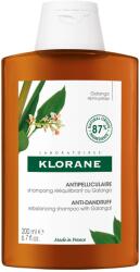 Klorane Korpásodás elleni sampon, 200 ml