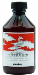 Davines Energizing sampon kihullott hajra 100ml (71251)