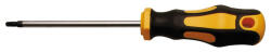 BGS technic T-fogós Torx csavarhúzó, T15 (BGS 7844-T15) (7844-T15)