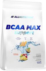 ALLNUTRITION BCAA MAX SUPPORT (1000 GR) TROPICAL 1000 gr