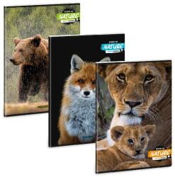 Ars Una Füzet kockás ARS UNA A/4 40 lapos Extra kapcsos Spirit Of Nature (53124227) - tonerpiac