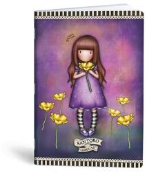 Educa Füzet kockás LIPAMILL A/5 40 lapos Santoro (1211631773)