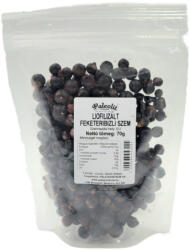 PaleoCentrum Kft Paleolit Liofilizált fekete ribizli 70g szemek Black currant freeze-dried