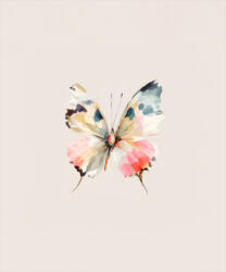 Takoy Szabadidő anyag Takoy PANEL akvarell pillangó Dain 50x60 cm