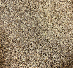 Paleolit Római köménymag egész 1kg Cumin whole - naturfoodshop