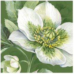Ihr ELEGANT CHRISTMAS ROSE papírszalvéta csomag 25x25cm, Zöld (C1095420)