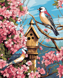 Alkotásutca Madarak - Számfestő készlet kereten 40x50