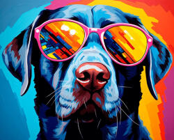 Alkotásutca Kutyalaza - Számfestő készlet kereten 40x50