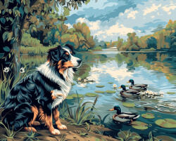 Alkotásutca A kacsák őrzője - Számfestő készlet kereten 40x50