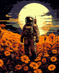 Alkotásutca Eltévedt űrhajós - Számfestő készlet kereten 40x50