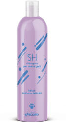 Record PREMIUM kutyasampon PÚDERES ILLATTAL 250 ml