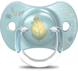Suavinex Gold Premium SX Pro Physiological 6-18 m cumi Blue