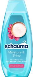 Schauma sampon 400 ml Moisture & Shine
