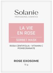 Solanie Masca-gel hidratanta pentru fata Rose Exosome La Vie En Rose 15g (SO24009) Masca de fata