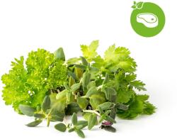 Click & Grow Mix - Steak & Grill (PPMSSX9)