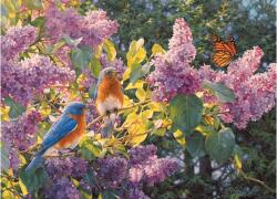 Cobble Hill 45072 - Spring Interlude - 500 db-os puzzle (45072)