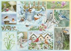 Cobble Hill 45104 - Garden Birds in Winter - 500 db-os puzzle (45104)