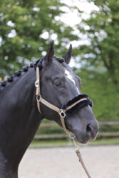 Kerbl Covalliero ClassicSoft kötőfék - cappuccino, pony