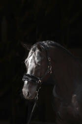 Kerbl Covalliero ClassicSoft kötőfék - fekete, pony