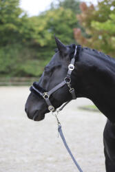 Kerbl Covalliero ClassicSoft kötőfék - szürke, pony