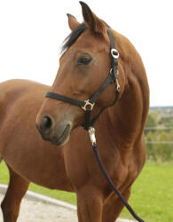 Kerbl Covalliero Hippo kötőfék - fekete, 00