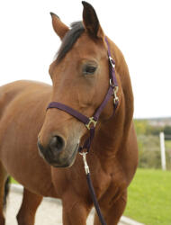 Kerbl Covalliero Hippo nylon kötőfék - padlizsán, 3