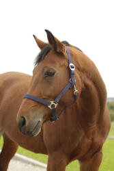 Kerbl Covalliero Hippo kötőfék - kék, 1