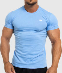Iron Aesthetics Tricou fitness pentru bărbați Iron Aesthetics Standard, albastru: Albastră 3XL (P1813A10901)