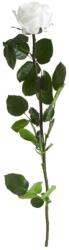 Verdissimo Tartósított rózsa, dobozban, 54 cm, Verdissimo, fehér színű (GDVERPRZ1000)